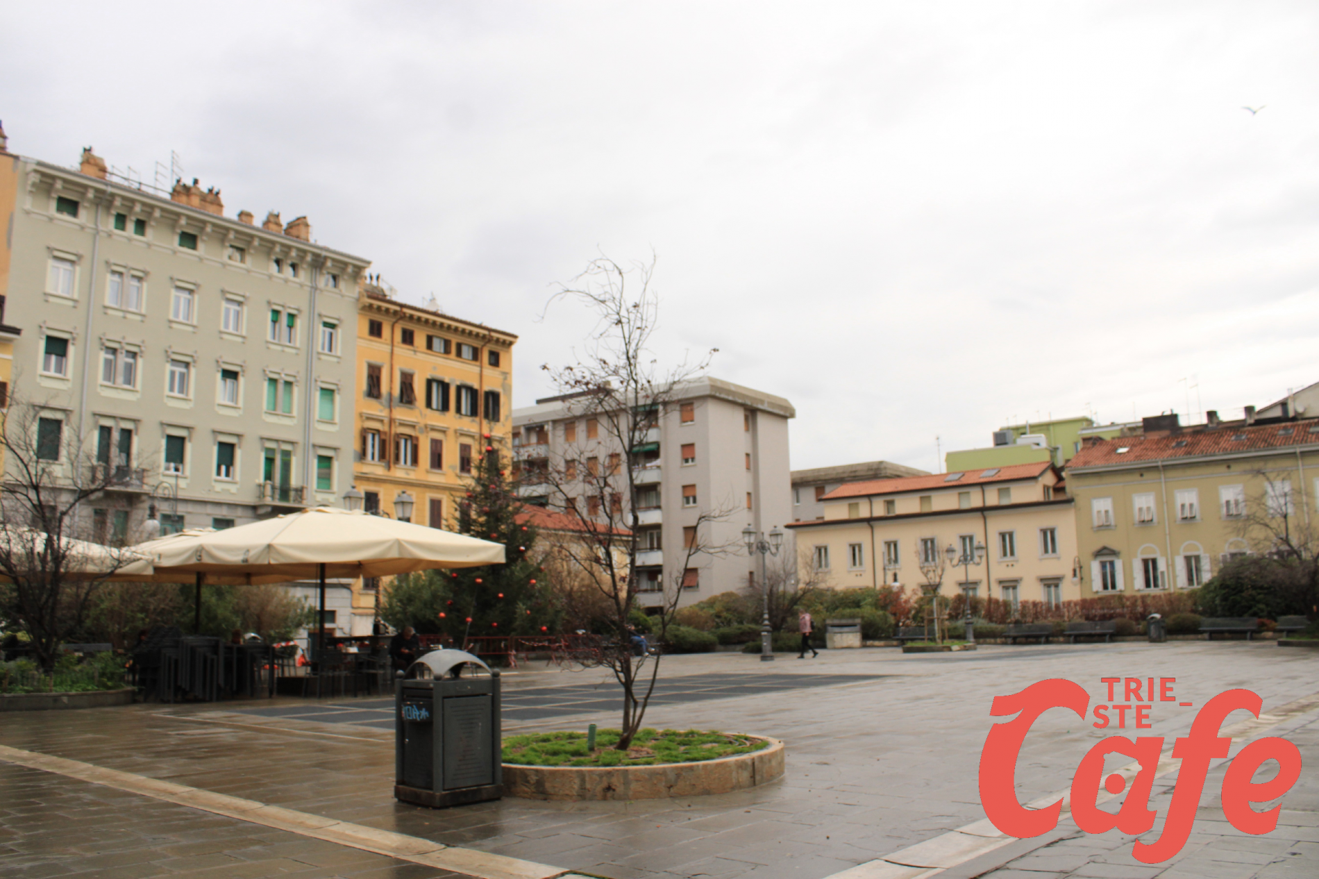 Team remoti a Trieste: ecco come documentare i processi aziendali in cinque passaggi
